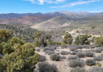 Lovell Canyon Nevada