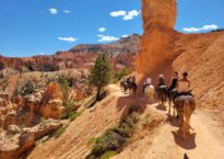 Horseback into Bryce Canyon