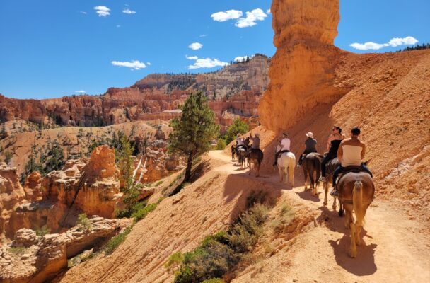 Horseback into Bryce Canyon